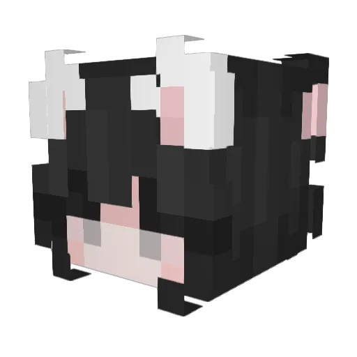 Durpycat18 Minecraft avatar head, 3D render