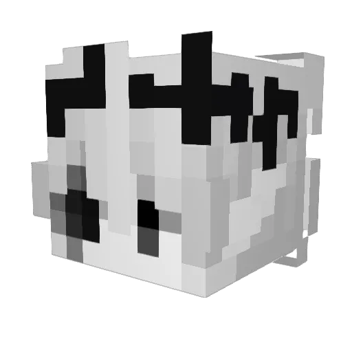 DusDusMC Minecraft avatar head, 3D render