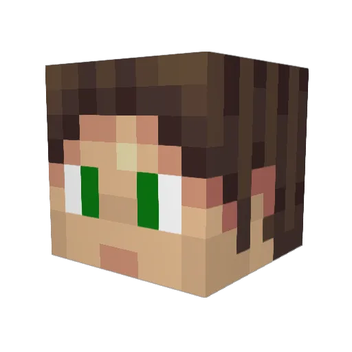 Dushty Minecraft avatar head, 3D render