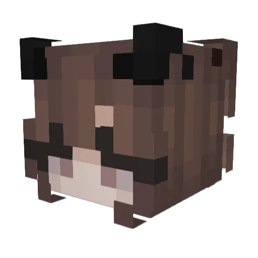 Dusiak Minecraft avatar head, 3D render