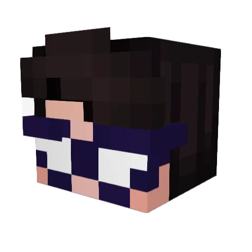 Dusioo Minecraft avatar head, 3D render