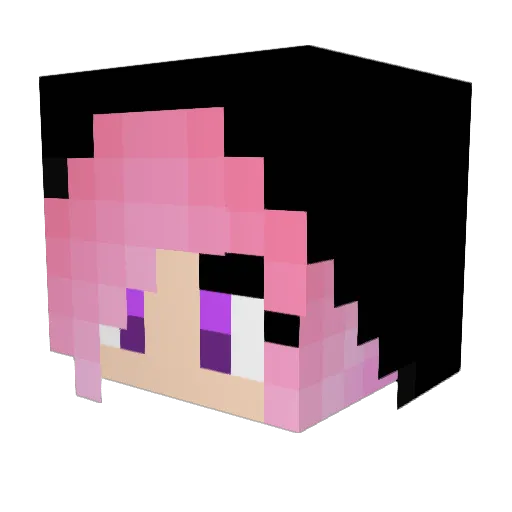 Dusiowata Minecraft avatar head, 3D render