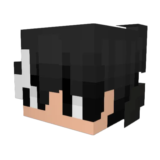 DuskRogues Minecraft avatar head, 3D render