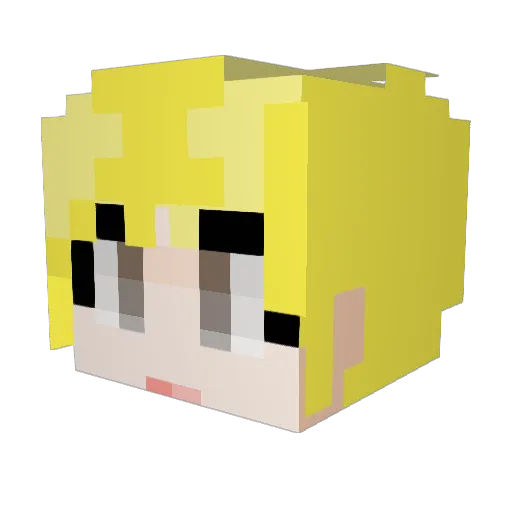 Dusk_ELN Minecraft avatar head, 3D render