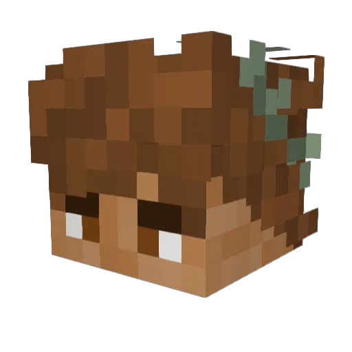 Dusk____ Minecraft avatar head, 3D render