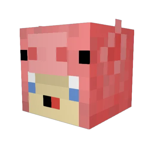 Duskebusk Minecraft avatar head, 3D render