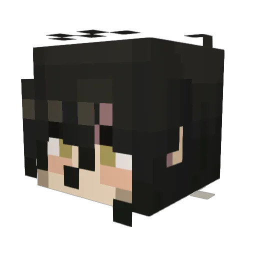 Duskeeb Minecraft avatar head, 3D render
