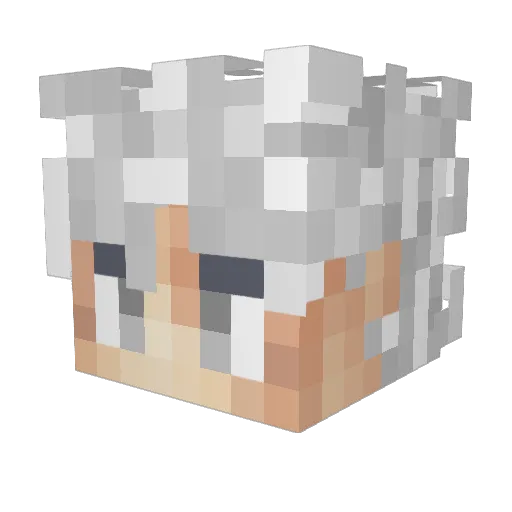 Dusko Minecraft avatar head, 3D render