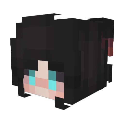 Dusks_Of_Neos Minecraft avatar head, 3D render