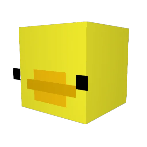 Dusky6589 Minecraft avatar head, 3D render