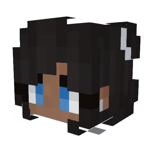 DuskyKitkat Minecraft avatar head, 3D render