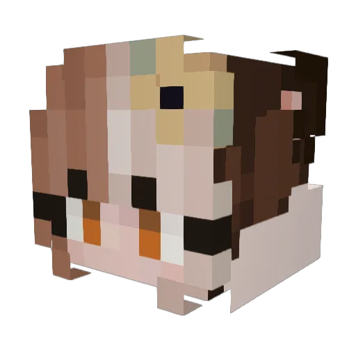 DuskyTanuki Minecraft avatar head, 3D render
