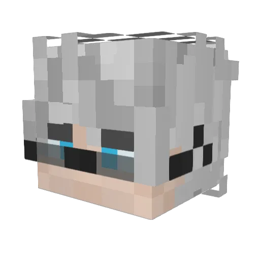 Dusss_Folson Minecraft avatar head, 3D render