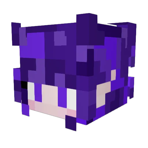 Dust219_ Minecraft avatar head, 3D render