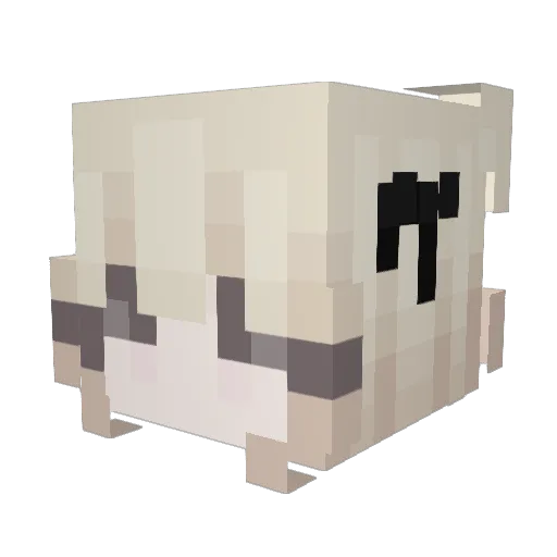 DustBaller Minecraft avatar head, 3D render