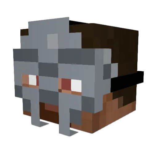 DustWrld Minecraft avatar head, 3D render