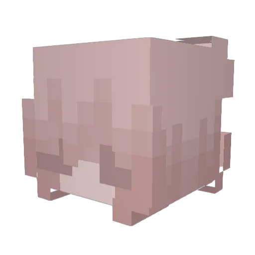 DustandRib Minecraft avatar head, 3D render