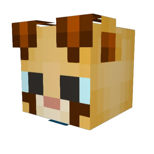 Dustbuni2 Minecraft avatar head, 3D render