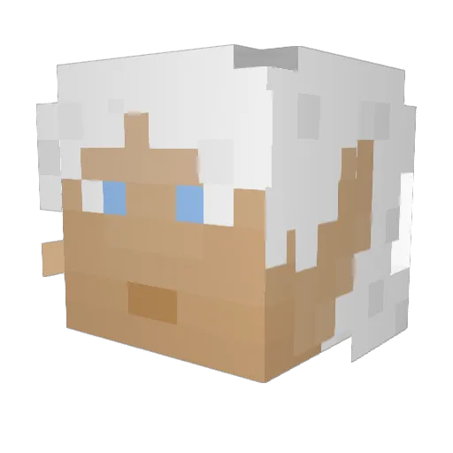 Dustbuster_Jr Minecraft avatar head, 3D render