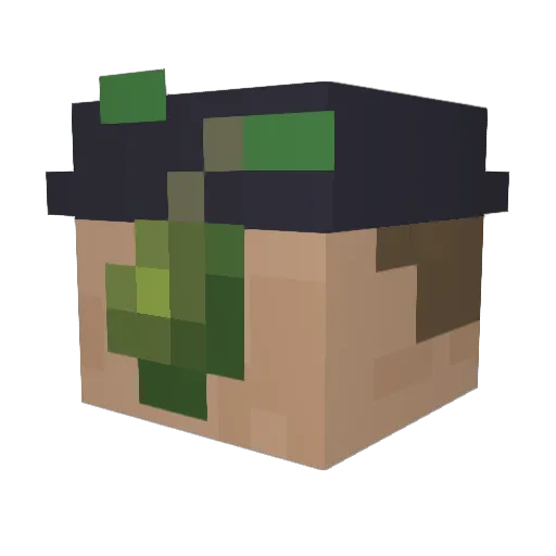 Dustein Minecraft avatar head, 3D render