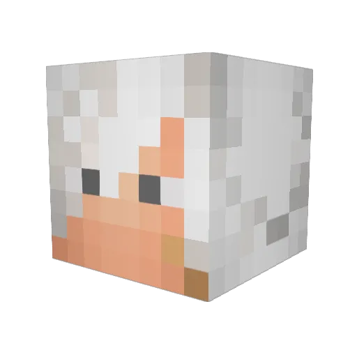 Duster_49 Minecraft avatar head, 3D render