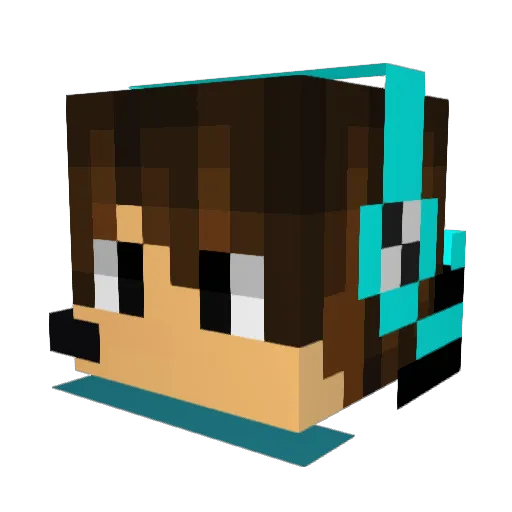 Dustin2001 Minecraft avatar head, 3D render