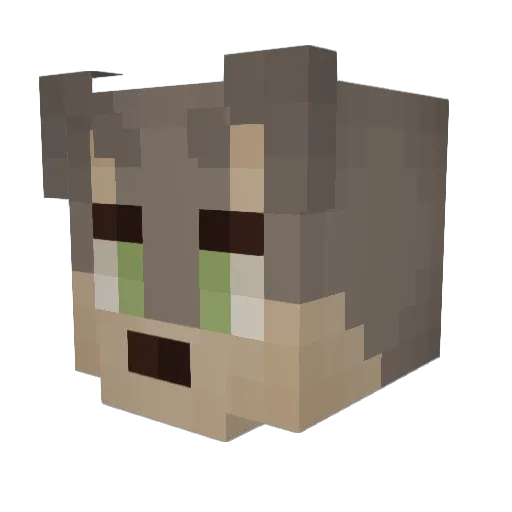 DustinMoo Minecraft avatar head, 3D render
