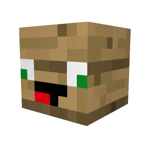 DustinzocktMC Minecraft avatar head, 3D render