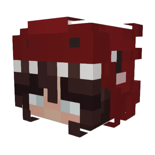 Dustmicks Minecraft avatar head, 3D render