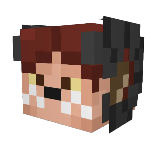 Dusty21134 Minecraft avatar head, 3D render