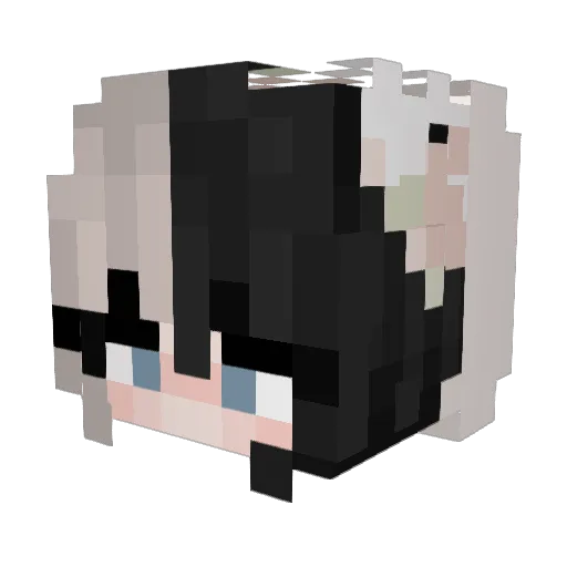 Dusty22090 Minecraft avatar head, 3D render