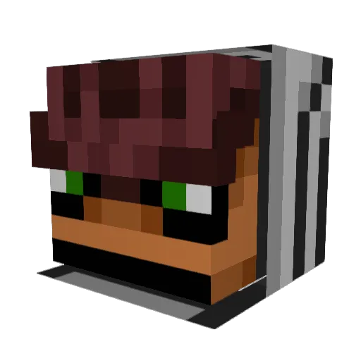 DustyBin13 Minecraft avatar head, 3D render