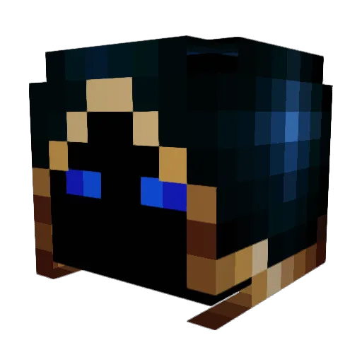 DustyCar12 Minecraft avatar head, 3D render