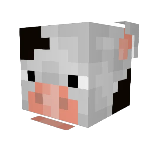 DustyCloud777 Minecraft avatar head, 3D render