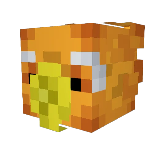 DustyDangles91 Minecraft avatar head, 3D render