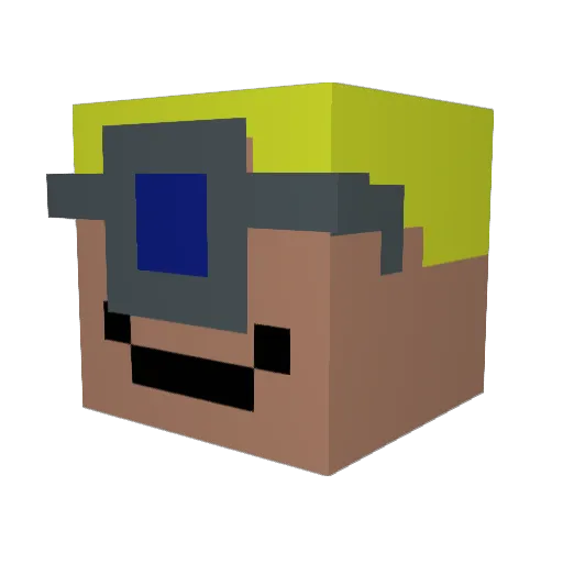 DustyDevil55 Minecraft avatar head, 3D render