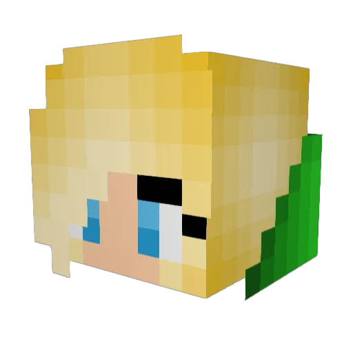 DustyDuskey Minecraft avatar head, 3D render