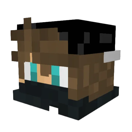 DustyELS Minecraft avatar head, 3D render