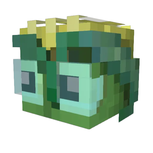 DustyKashmir Minecraft avatar head, 3D render