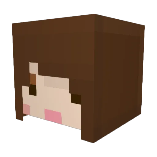 DustyLemon Minecraft avatar head, 3D render