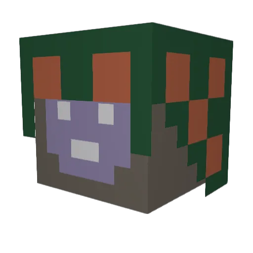 DustyPoncho Minecraft avatar head, 3D render