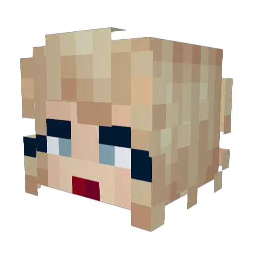 DustyRayBottoms Minecraft avatar head, 3D render
