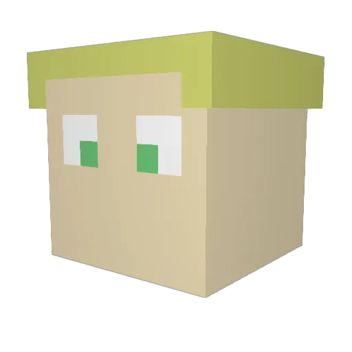 DustyRosae Minecraft avatar head, 3D render