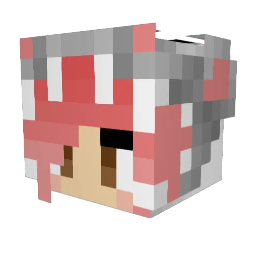 Dusty_Grey Minecraft avatar head, 3D render