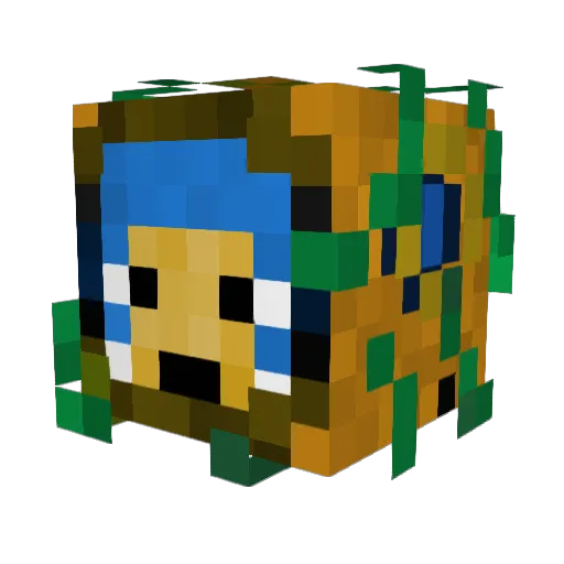 Dusty_compotar Minecraft avatar head, 3D render