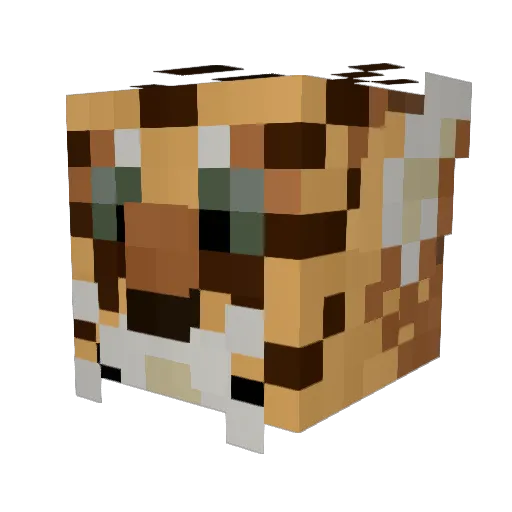 Dustydreamer3 Minecraft avatar head, 3D render