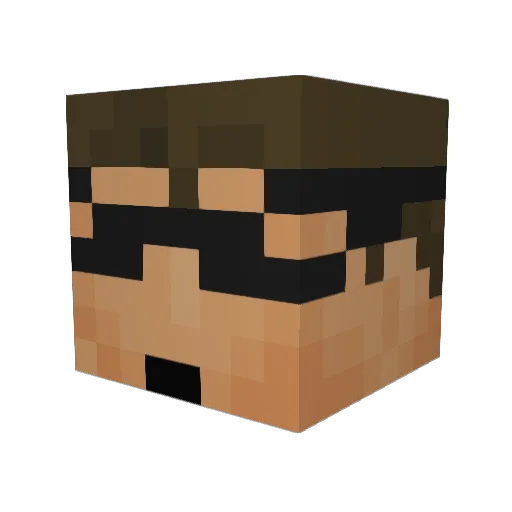 Dutch101403 Minecraft avatar head, 3D render