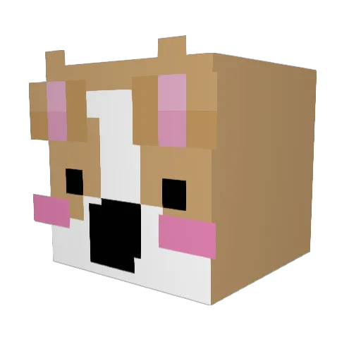 DutchBubs Minecraft avatar head, 3D render
