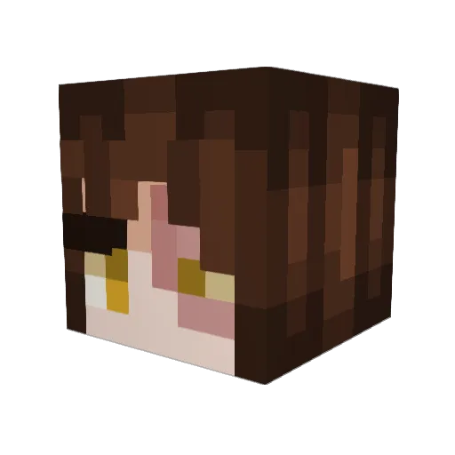 DutchDelicacy Minecraft avatar head, 3D render