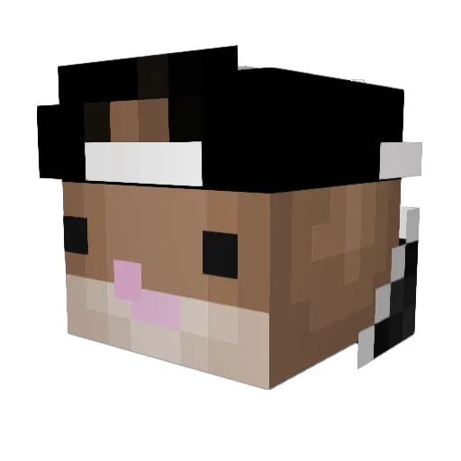 DutchDijkie Minecraft avatar head, 3D render